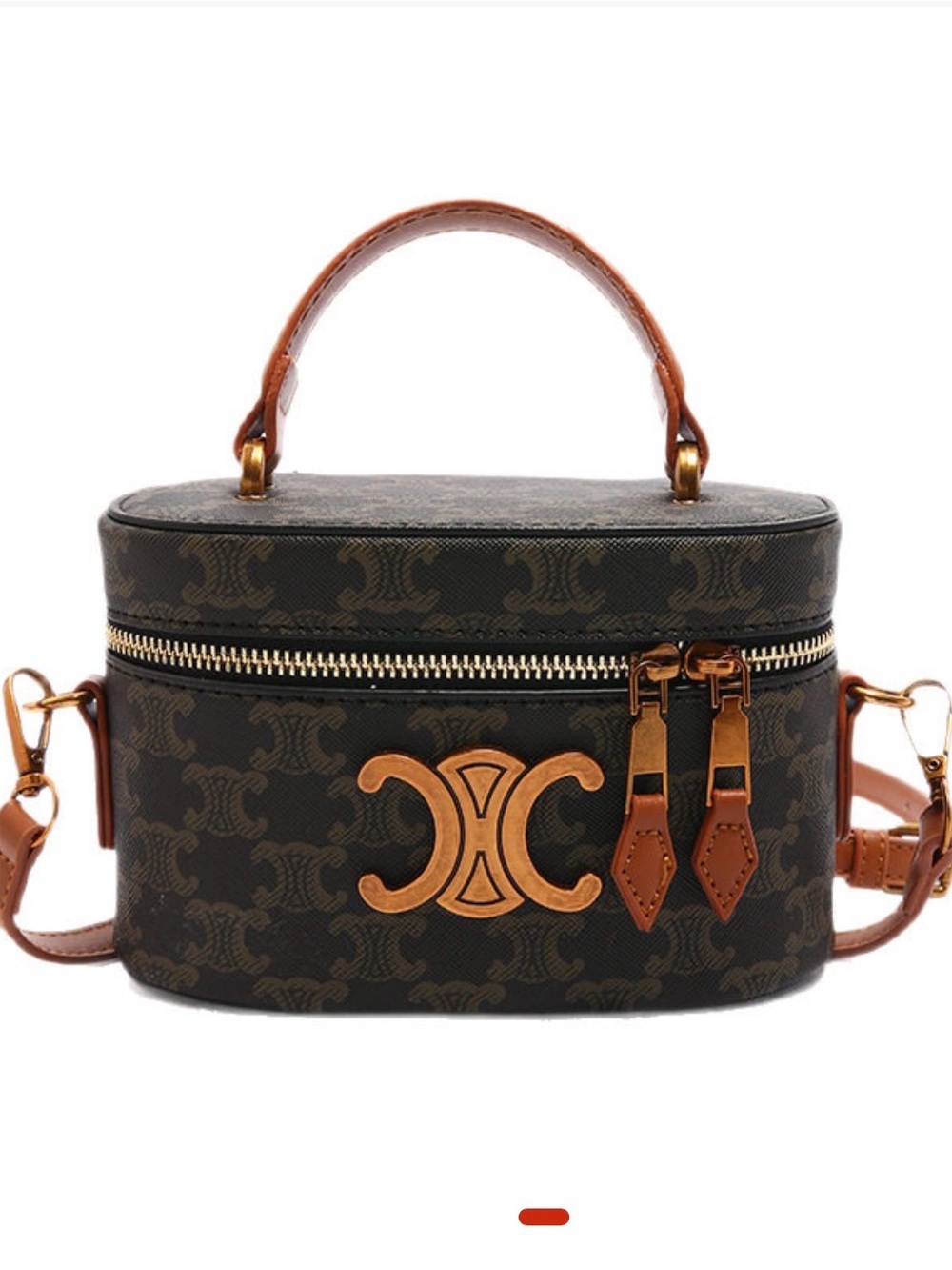 Women’s Brown Monogram Vanity Crossbody Bag